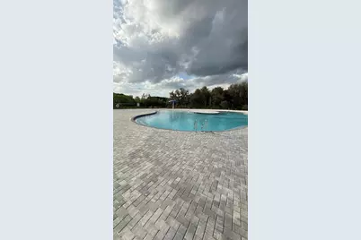 804 Horsetail Drive, Davenport, FL 33837 - Photo 36