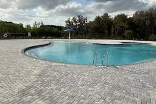 804 Horsetail Dr, Davenport, FL 33837 - Photo 36