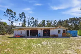 26134 Leeward St, Eustis, FL 32736 - Photo 10