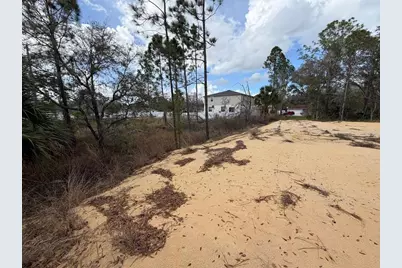 202 Spoonbill Drive, Poinciana, FL 34759 - Photo 18