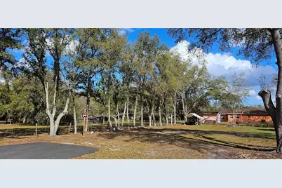 Immokalee Street, Intercession City, FL 33848 - Photo 4