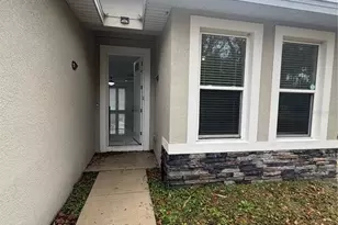 310 Grape Ave, Saint Cloud, FL 34769 - Photo 8