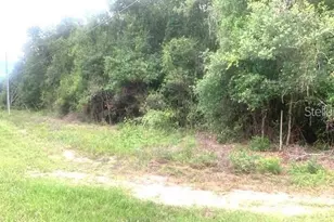 [Address not provided], Groveland, FL 34736 - Photo 1