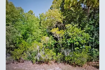 2531 W Dolphin Drive, Citrus Springs, FL 34434 - Photo 1