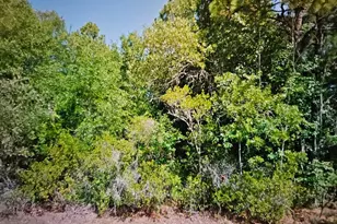 2531 W Dolphin Dr, Citrus Springs, FL 34434 - Photo 1