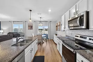 4893 Panga Ave, Mount Dora, FL 32757 - Photo 4