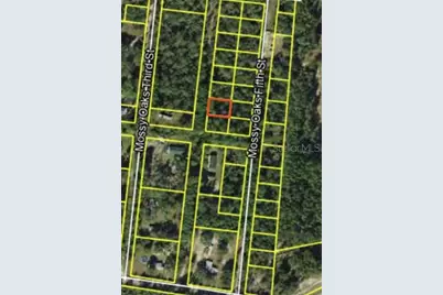 200 Mossy Oaks 4th Street, Quincy, FL 32351 - Photo 6