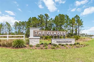 2780 Swooping Sparrow Dr, Saint Cloud, FL 34773 - Photo 50