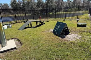 4234 Bridle Booster Wy, Lakeland, FL 33801 - Photo 20