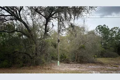 336 Pershing Avenue, Lake Placid, FL 33852 - Photo 4