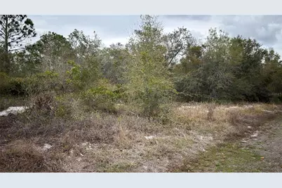 336 Pershing Avenue, Lake Placid, FL 33852 - Photo 1