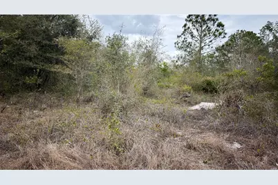 336 Pershing Avenue, Lake Placid, FL 33852 - Photo 2
