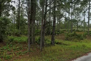 5639 San Juan Dr, Sebring, FL 33872 - Photo 1