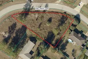 Pine Trace Loop, Ocala, FL 34472 - Photo 1