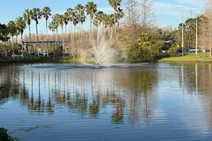 13572 Turtle Marsh Loop, Orlando, FL 32837 - Photo 20