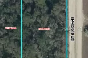 Lot 2 NE 160th Ave, Williston, FL 32696 - Photo 1
