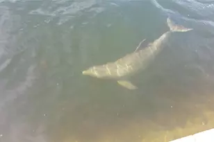 6009 Sea Ranch Dr, Hudson, FL 34667 - Photo 42