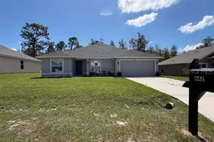 442 Big Black Pl, Kissimmee, FL 34759 - Photo 1