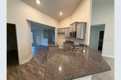 442 Big Black Place, Kissimmee, FL 34759 - Photo 4