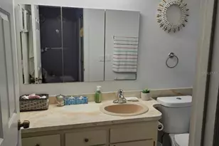 3543 Bristlecone Ct, Kissimmee, FL 34746 - Photo 12