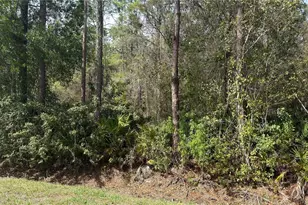 4801 E Laflam Rd, Avon Park, FL 33825 - Photo 1