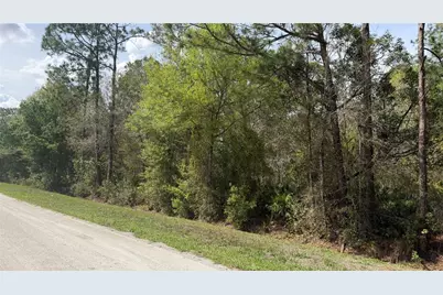 4801 E La Flam Road, Avon Park, FL 33825 - Photo 4