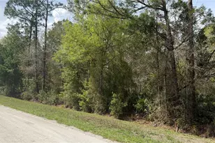 4801 E Laflam Rd, Avon Park, FL 33825 - Photo 4