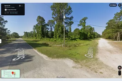 433 Gardenia Avenue, Georgetown, FL 32139 - Photo 6