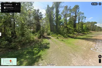 433 Gardenia Avenue, Georgetown, FL 32139 - Photo 1