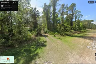 433 Gardenia Ave, Georgetown, FL 32139 - Photo 1