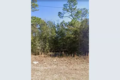 Ne 151st Ave, Williston, FL 32696 - Photo 4