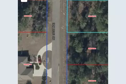 Ne 151st Ave, Williston, FL 32696 - Photo 2