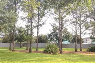 9377 Jasmine Flower Ln, Orlando, FL 32832 - Photo 22