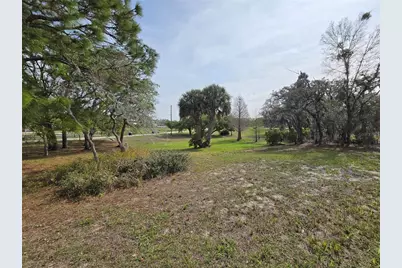 Petes Lane, Davenport, FL 33837 - Photo 4