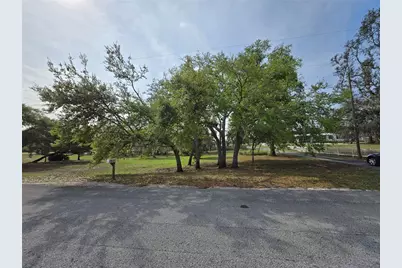 Petes Lane, Davenport, FL 33837 - Photo 2