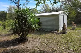 3117 Buttercup Ln, Lake Placid, FL 33852 - Photo 4