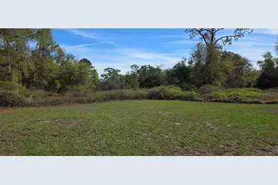 3117 Buttercup Lane, Lake Placid, FL 33852 - Photo 2