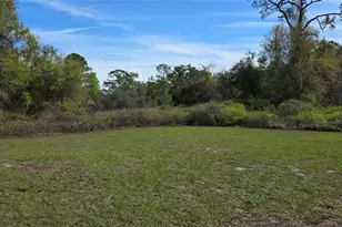 3117 Buttercup Ln, Lake Placid, FL 33852 - Photo 2