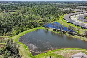 16587 Barbours Crk Wy, Winter Garden, FL 34787 - Photo 48