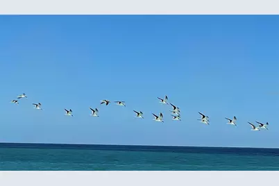 Coral Circle, Fort Pierce, FL 34949 - Photo 16