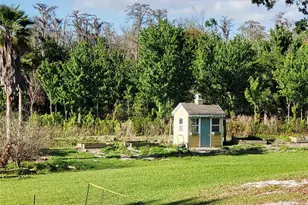 11807 Mintwood Ct, Orlando, FL 32837 - Photo 24