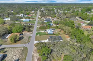 9003 Sheppard Dr, Lake Wales, FL 33898 - Photo 44