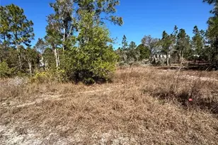 761 Goldrock Rd, Lehigh Acres, FL 33974 - Photo 6