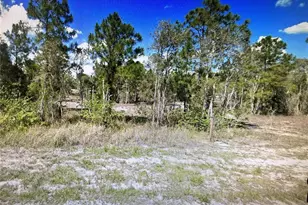 761 Goldrock Rd, Lehigh Acres, FL 33974 - Photo 1