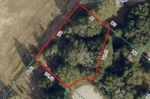 Dogwood Trail, Ocala, FL 34472 - Photo 1