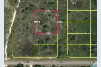 678 Bourbon Street, Lake Placid, FL 33852 - Photo 2