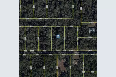 11939 W Wildflower Street, Crystal River, FL 34428 - Photo 2