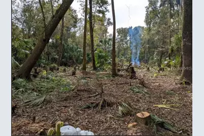 11939 W Wildflower Street, Crystal River, FL 34428 - Photo 1