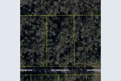 11939 W Wildflower Street, Crystal River, FL 34428 - Photo 4
