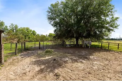 3591 N Canoe Creek Road, Kenansville, FL 34739 - Photo 38